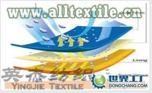 供應滌綸針織尼龍復合面料 尼龍針織尼龍復合面料_紡織、皮革_世界工廠網中國產品信息庫